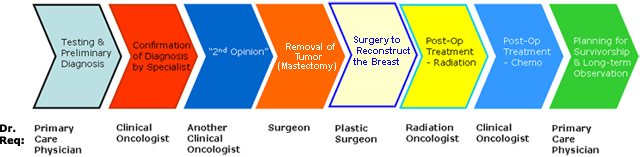 Testing and preliminary diagnosis (primary care physician), confirmation of diagnosis by specialist (clinical oncologist), 2nd opinion (another clinical oncologist), removal of mastectomy (surgeon), surgery to reconstruct the breast (plastic surgeon), post-op treatment - radiation (radiation oncologist), post-op treatment - chemo (clinical oncologist), planning for survivorship and long-term observation (primary care physician)