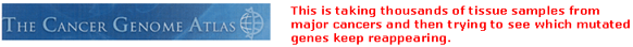 The Cancer Geome Atlas is taking thousands of tissue samples from major cancers and trying to see which mutated genes keep reappearing.